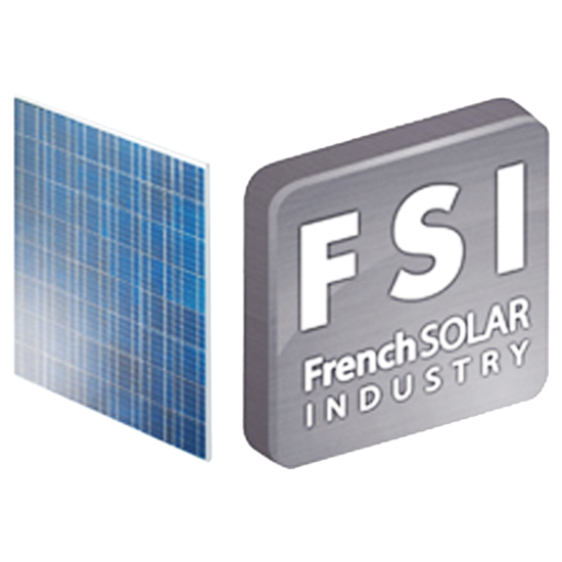 logo-FSI